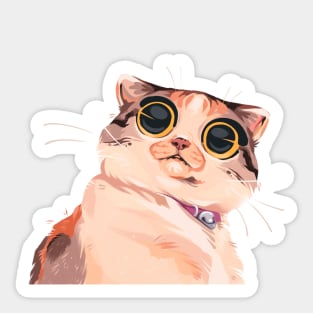 Stunned Cat Sticker